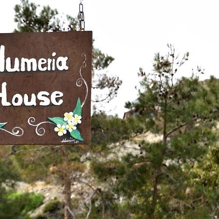 Plumeria House Archangelos (Rhodes) Exterior foto